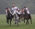 Polo_Art   091